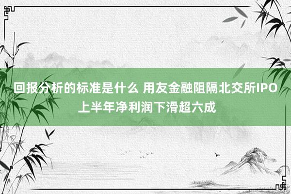 回报分析的标准是什么 用友金融阻隔北交所IPO 上半年净利润下滑超六成