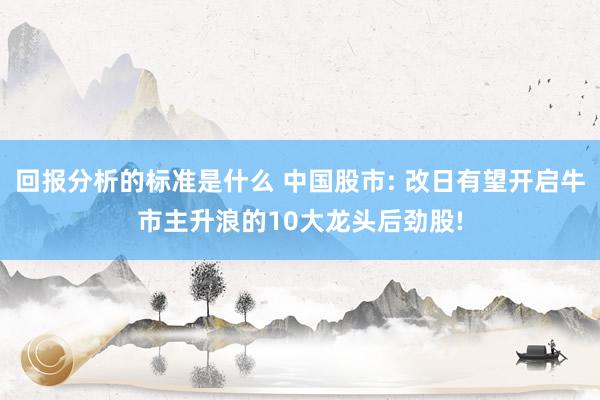 回报分析的标准是什么 中国股市: 改日有望开启牛市主升浪的10大龙头后劲股!