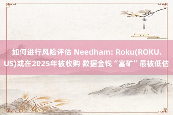 如何进行风险评估 Needham: Roku(ROKU.US)或在2025年被收购 数据金钱“富矿”最被低估