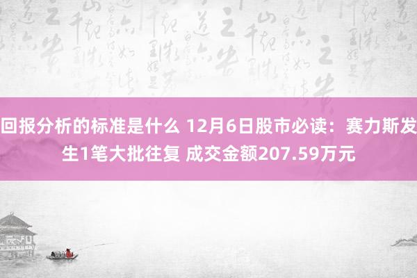 回报分析的标准是什么 12月6日股市必读：赛力斯发生1笔大批往复 成交金额207.59万元