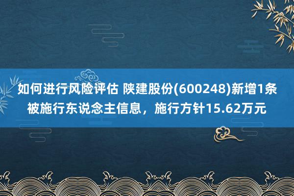 如何进行风险评估 陕建股份(600248)新增1条被施行东说念主信息，施行方针15.62万元