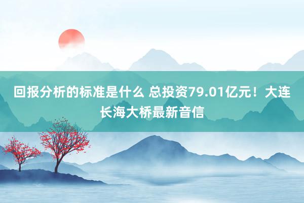 回报分析的标准是什么 总投资79.01亿元！大连长海大桥最新音信