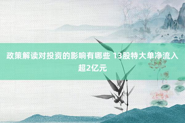 政策解读对投资的影响有哪些 13股特大单净流入超2亿元