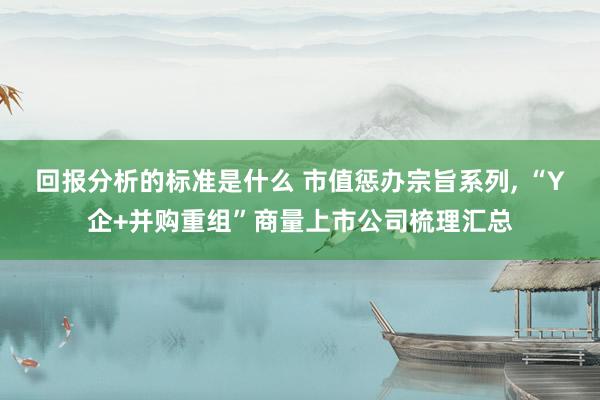 回报分析的标准是什么 市值惩办宗旨系列, “Y企+并购重组”