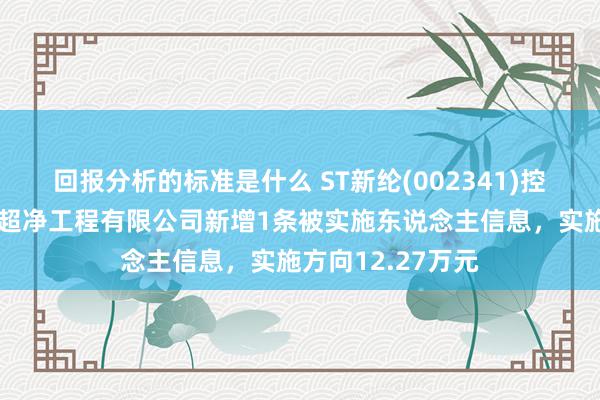 回报分析的标准是什么 ST新纶(002341)控股的深圳市新