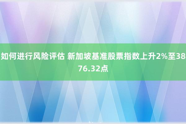 如何进行风险评估 新加坡基准股票指数上升2%至3876.32