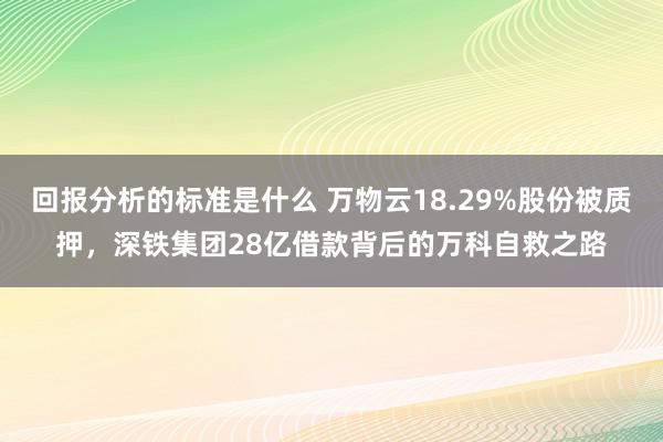 回报分析的标准是什么 万物云18.29%股份被质押，深铁集团28亿借款背后的万科自救之路