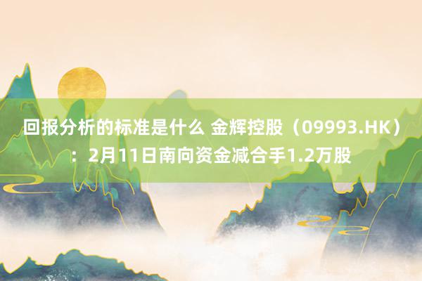 回报分析的标准是什么 金辉控股（09993.HK）：2月11日南向资金减合手1.2万股