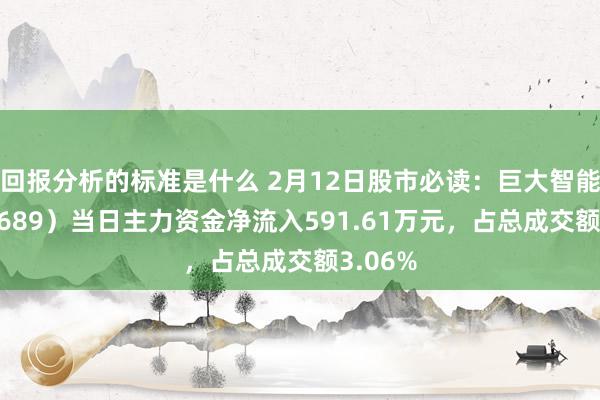 回报分析的标准是什么 2月12日股市必读：巨大智能（002689）当日主力资金净流入591.61万元，占总成交额3.06%