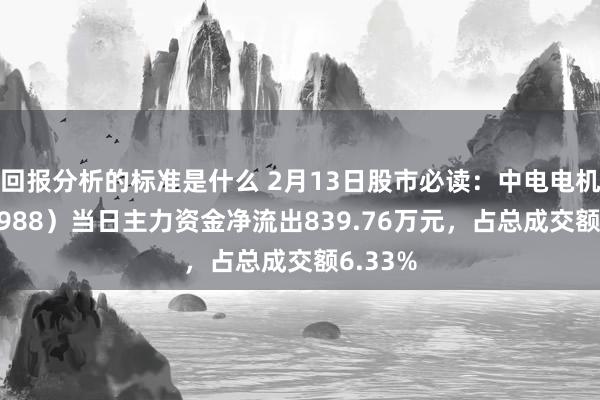 回报分析的标准是什么 2月13日股市必读：中电电机（603988）当日主力资金净流出839.76万元，占总成交额6.33%