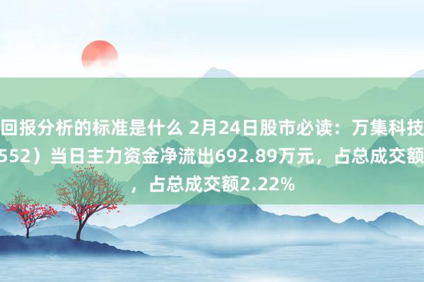 回报分析的标准是什么 2月24日股市必读：万集科技（3005