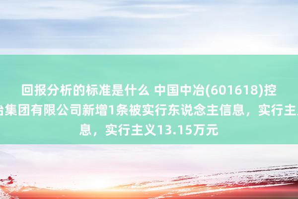 回报分析的标准是什么 中国中冶(601618)控股的上海宝冶集团有限公司新增1条被实行东说念主信息，实行主义13.15万元