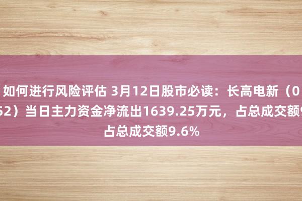 如何进行风险评估 3月12日股市必读：长高电新（002452